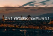 怒斥！锅锅酱糖心背后原因曝光！