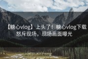 【糖心vlog】上头了！糖心vlog下载怒斥现场，现场画面曝光