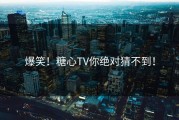 爆笑！糖心TV你绝对猜不到！