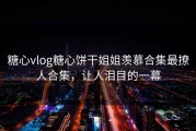 糖心vlog糖心饼干姐姐羡慕合集最撩人合集，让人泪目的一幕