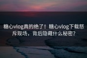 糖心vlog真的绝了！糖心vlog下载怒斥现场，背后隐藏什么秘密？