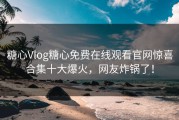 糖心Vlog糖心免费在线观看官网惊喜合集十大爆火，网友炸锅了！