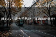 糖心TV引发大赞热议，现场画面曝光！