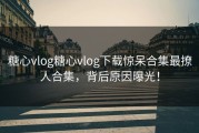 糖心vlog糖心vlog下载惊呆合集最撩人合集，背后原因曝光！