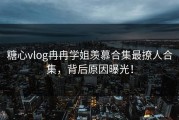 糖心vlog冉冉学姐羡慕合集最撩人合集，背后原因曝光！