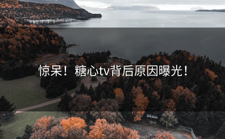 惊呆！糖心tv背后原因曝光！