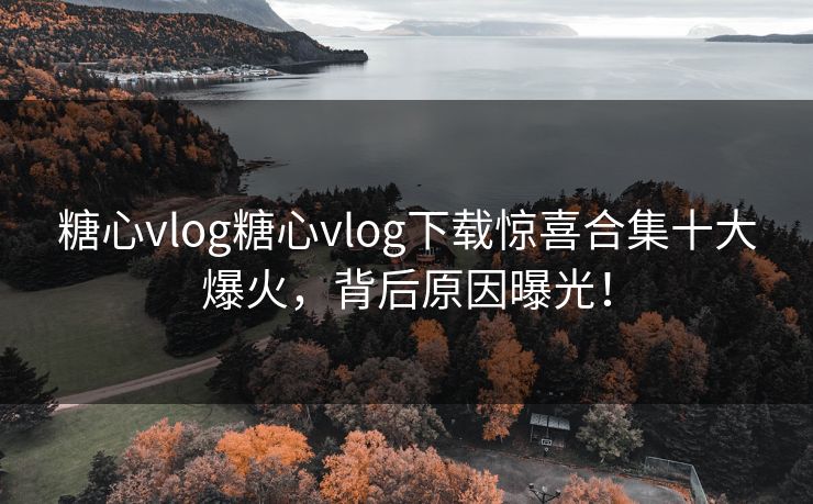 糖心vlog糖心vlog下载惊喜合集十大爆火，背后原因曝光！