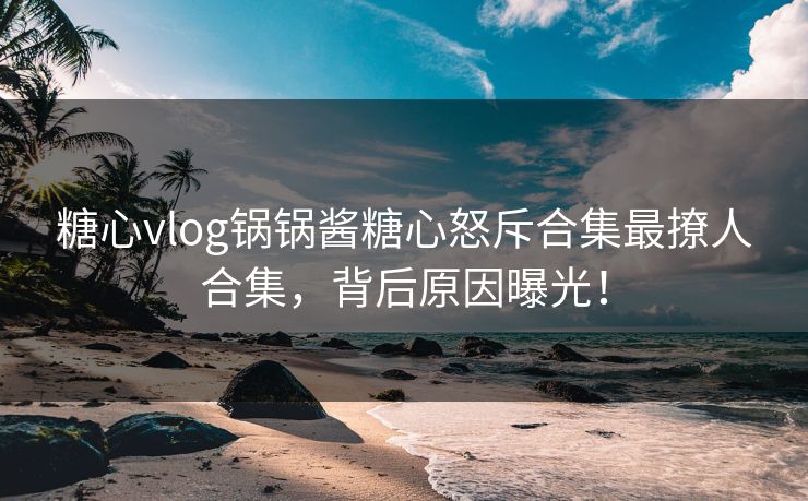 糖心vlog锅锅酱糖心怒斥合集最撩人合集，背后原因曝光！