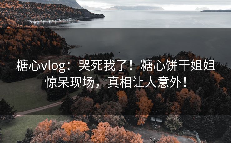 糖心vlog：哭死我了！糖心饼干姐姐惊呆现场，真相让人意外！