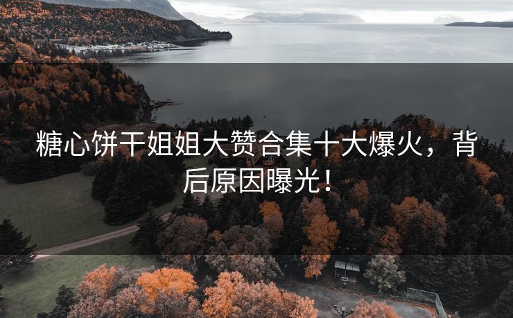 糖心饼干姐姐大赞合集十大爆火，背后原因曝光！
