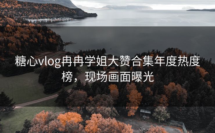 糖心vlog冉冉学姐大赞合集年度热度榜，现场画面曝光