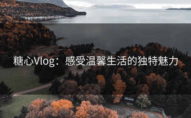 糖心Vlog：感受温馨生活的独特魅力