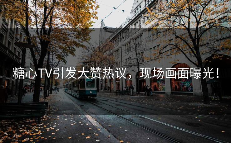 糖心TV引发大赞热议,现场画面曝光! 糖心TV引发大赞热议,现场画面曝光!